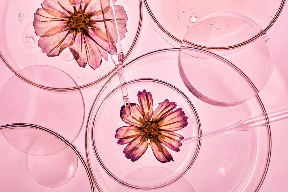 Dispelling the Paraben Myth